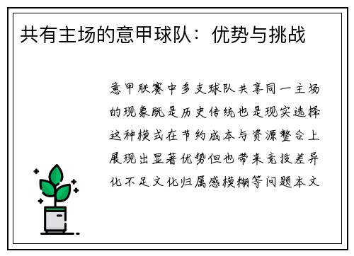 共有主场的意甲球队：优势与挑战